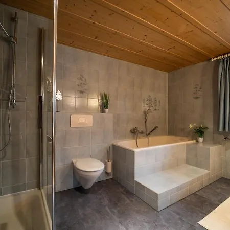D'alpenapartments 아파트 베차우