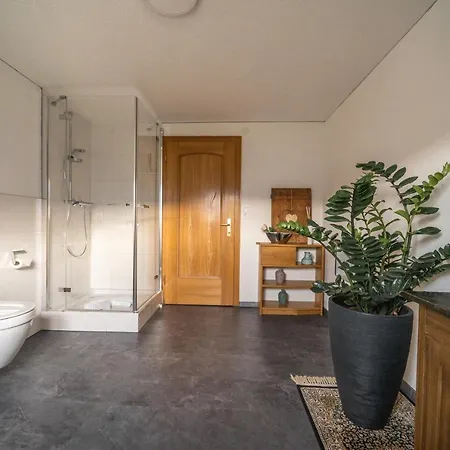 Appartement D'alpenapartments *