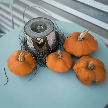 D'alpenapartments Bezau